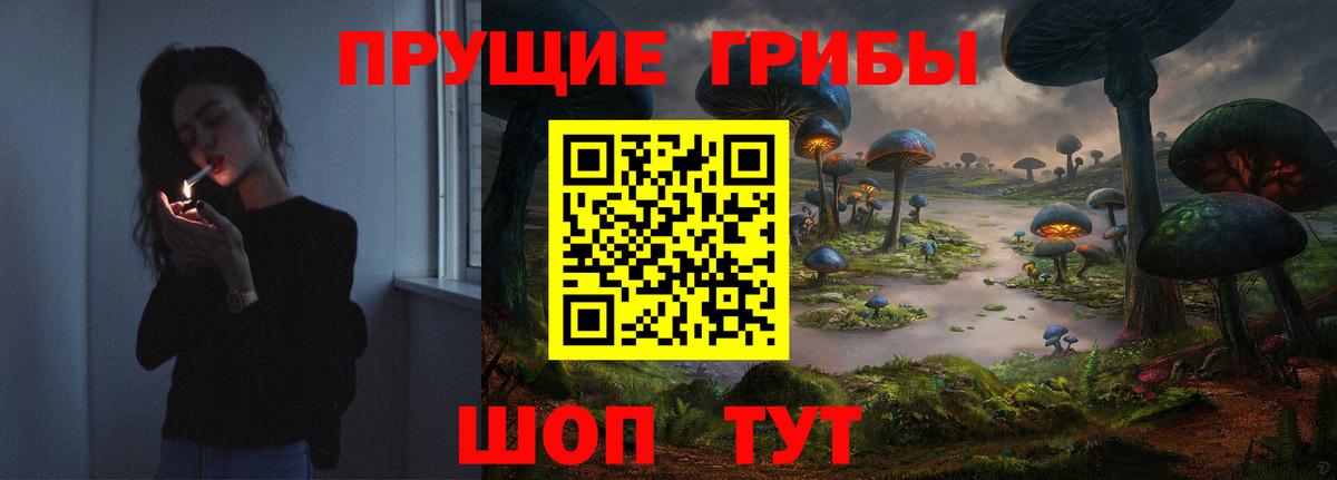 Псилоцибиновые грибы Psilocybine cubensis  цены наркотик  Вход с VPN  Шелехов  Псилоцибиновые грибы мицелий 